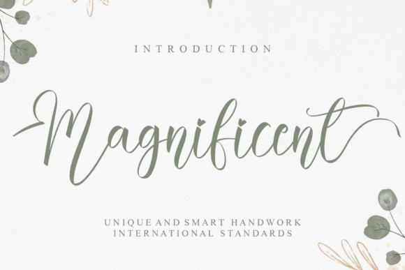 Magnificent Script Font Download Fonts