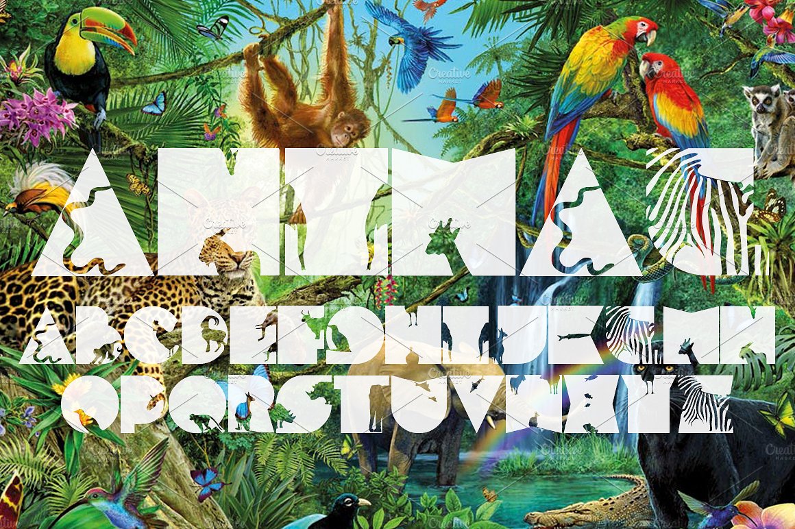 FTF Minthee Hewante Pro