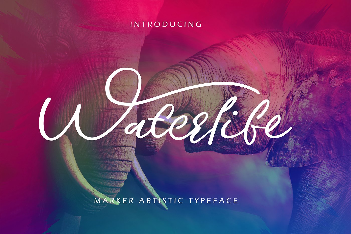 Waterlife Script Waterlife Script