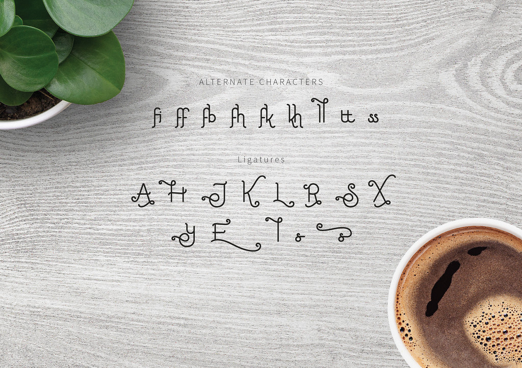 Little Edellweiss Typeface