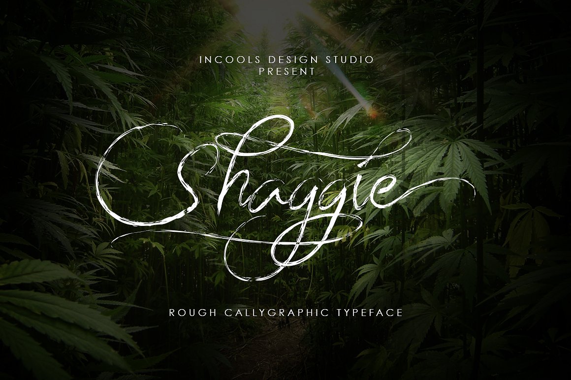 Shaggie Script Shaggie Script