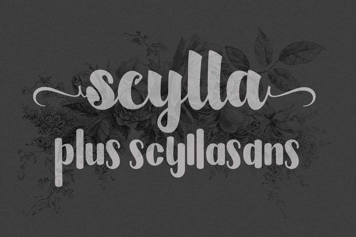 Scylla & Scyllasans