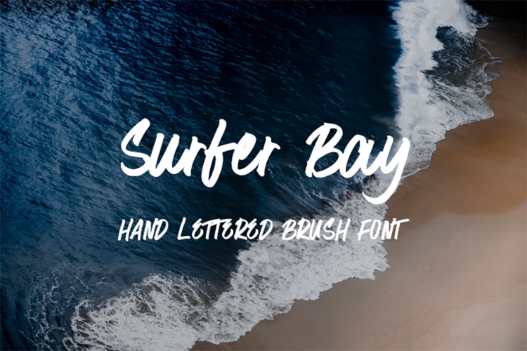 Surfer Bay Brush Surfer Bay Brush