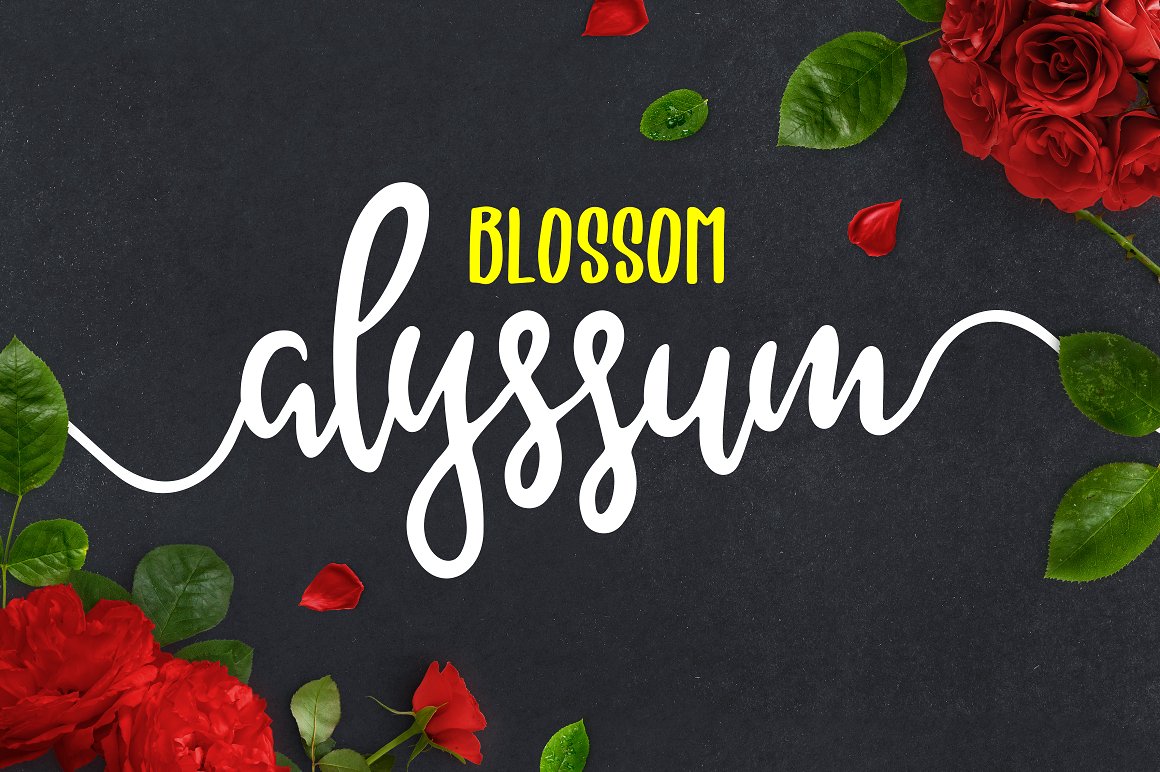 Alyssum Script