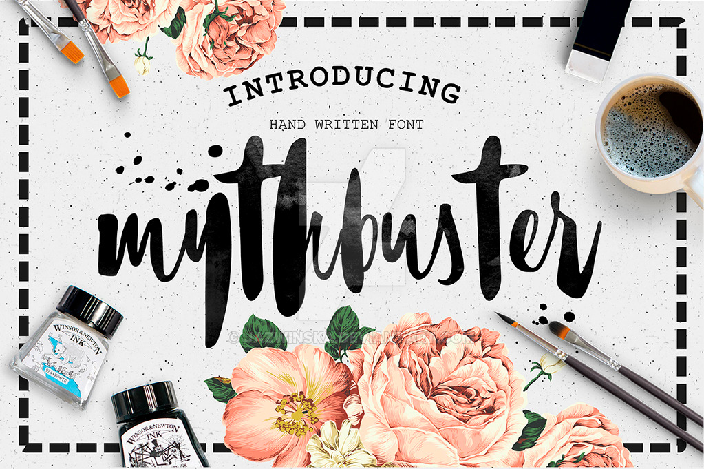 Mythbuster Brush Mythbuster Brush