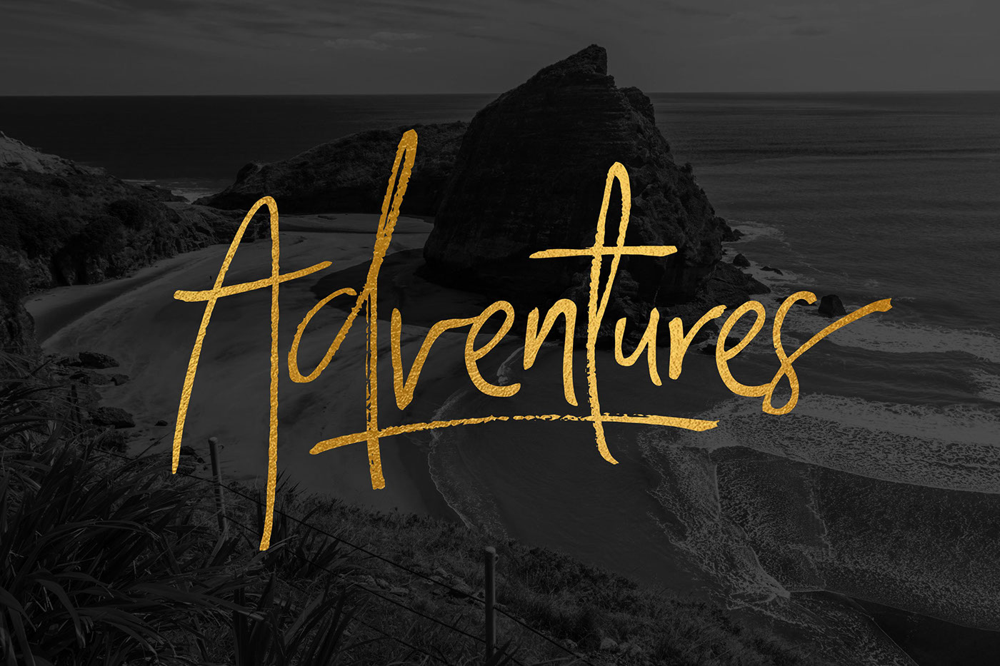 North Island North Island