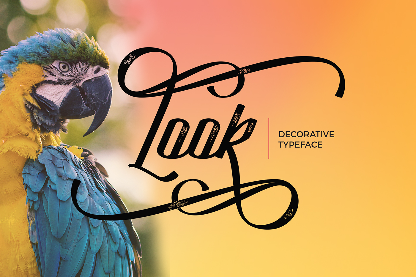 Latika Typeface Latika Typeface