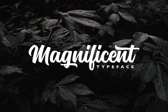 Magnificent Typeface Magnificent Typeface