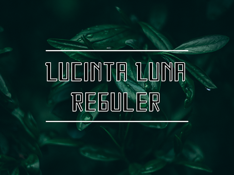 Lucinta Luna Lucinta Luna