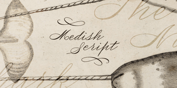 medish script poster01 1