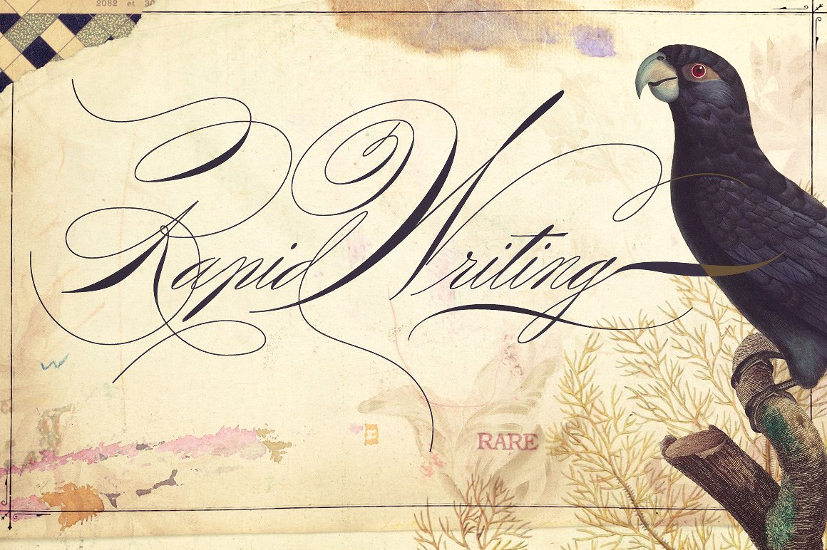 Monarchy Script Monarchy Script