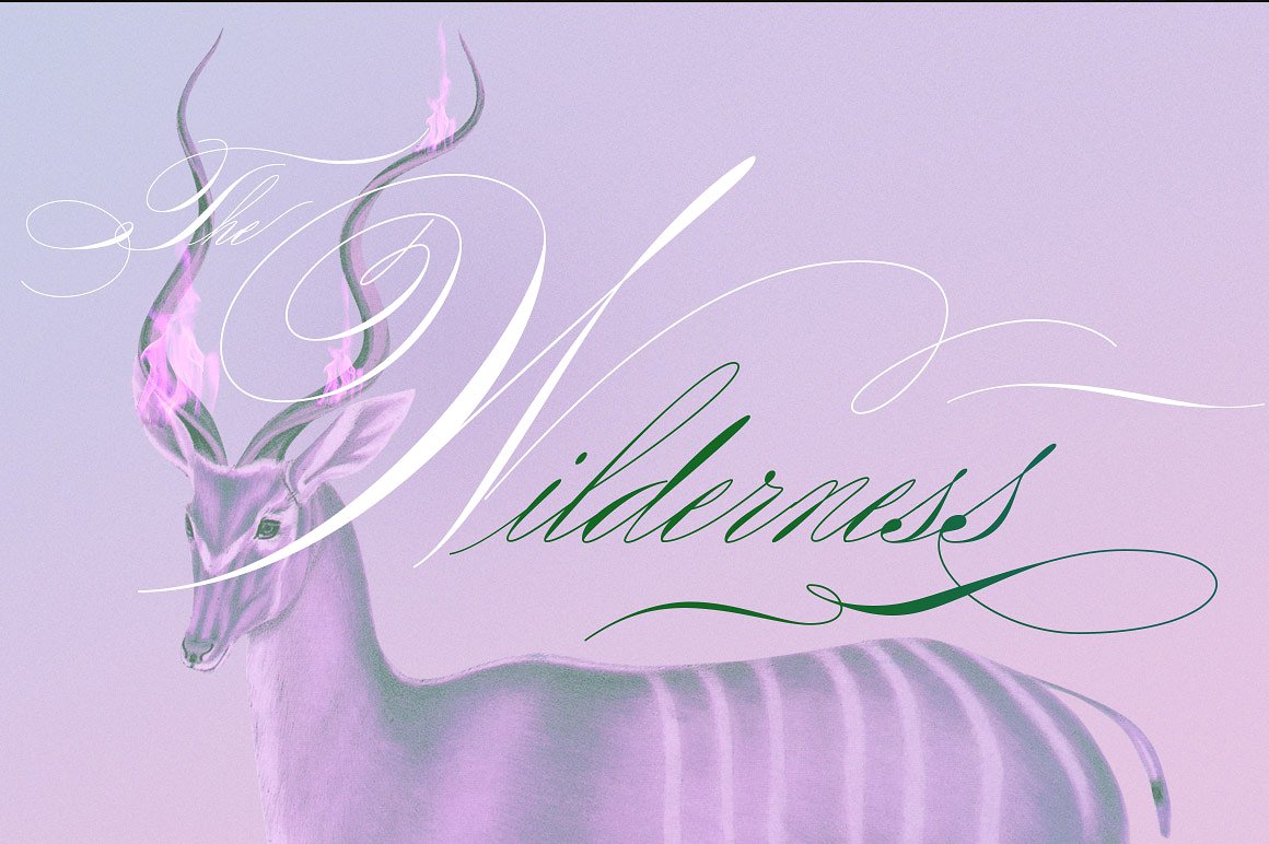 Monarchy Script Monarchy Script