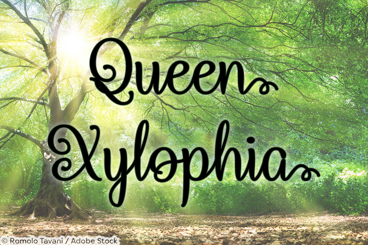 Queen Xylophia Script