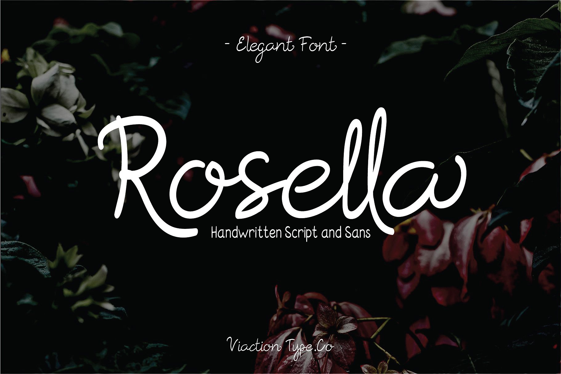 Rosella Script
