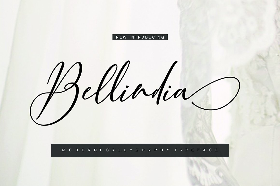 Bellidia Calligraphy