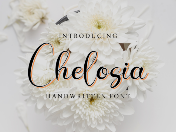 Chelosia Script Chelosia Script