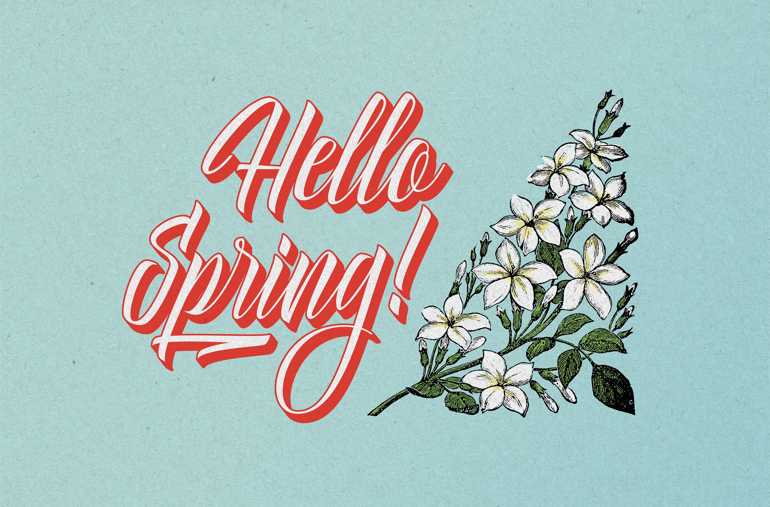 Delphin Spring Script Delphin Spring Script