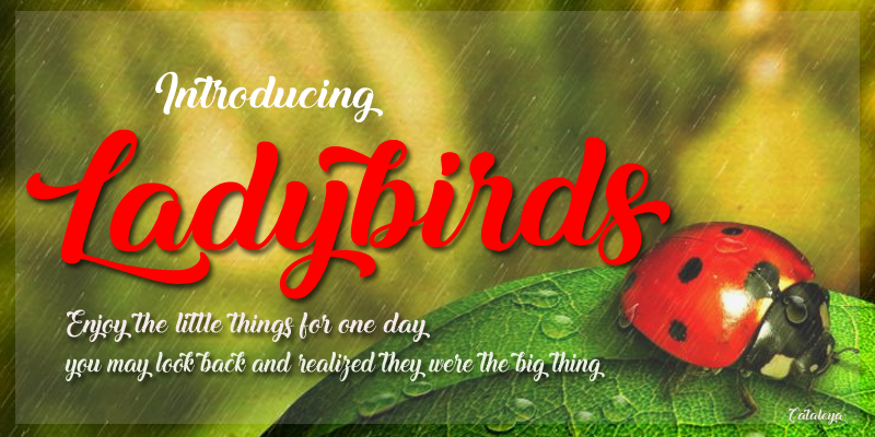Ladybirds Script