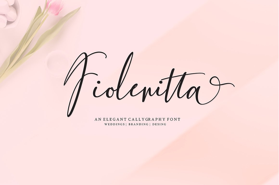Fiolenitta Calligraphy