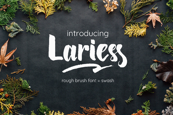 Lariess Brush Lariess Brush
