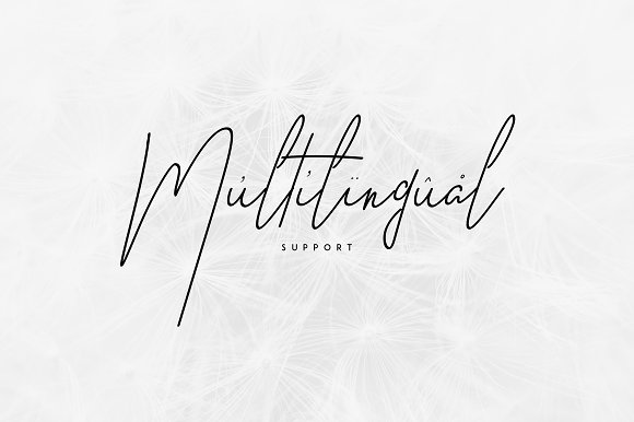 Free Good Wish Signature 30 Script Fonts