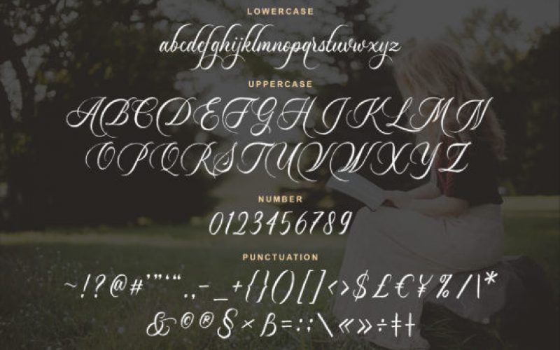 Dayland Calligraphy Font Fontlot Com