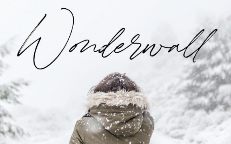 Winterlady Handwritten Font Fontlot Com