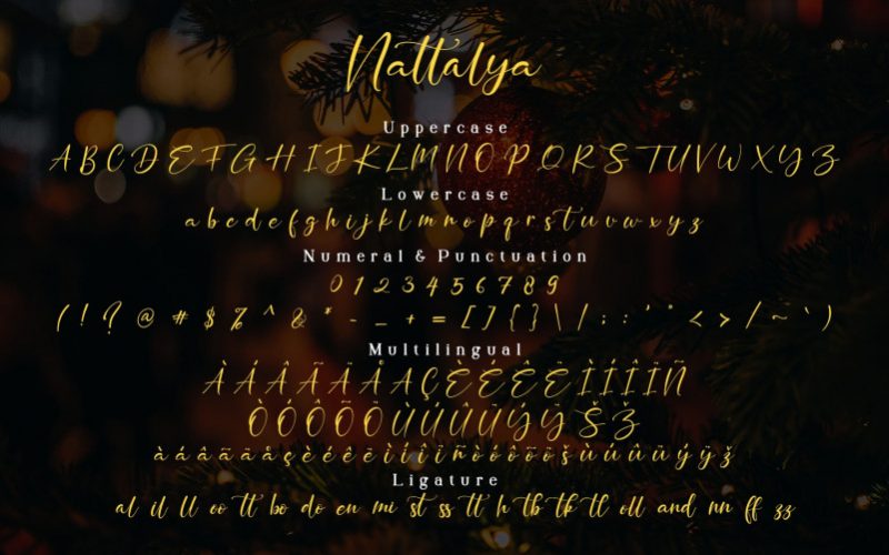 Nattalya Calligraphy Font Fontlot Com