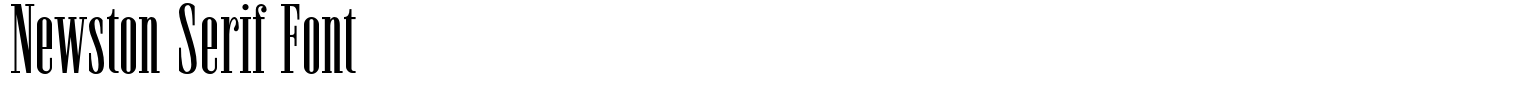 Newston Serif Font