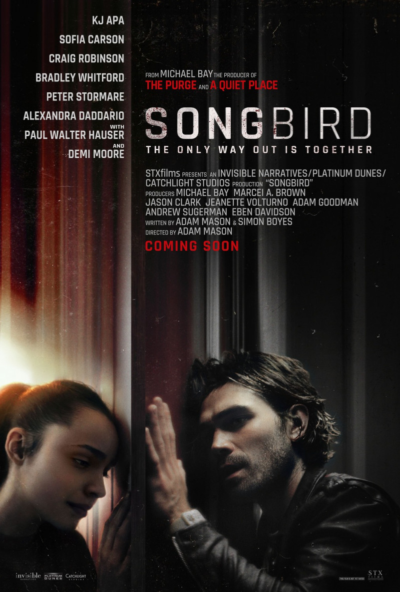 songbird