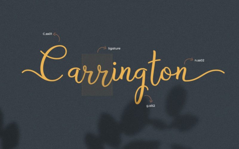 Bryan Letter Script Font Fontlot Com