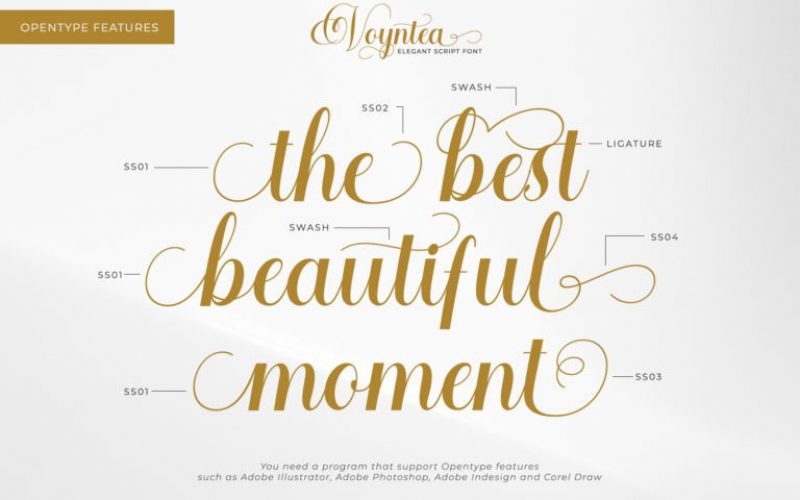 Voyntea Calligraphy Font Fontlot Com