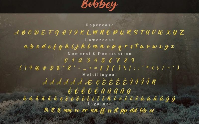 Bobbey Script Font Fontlot Com