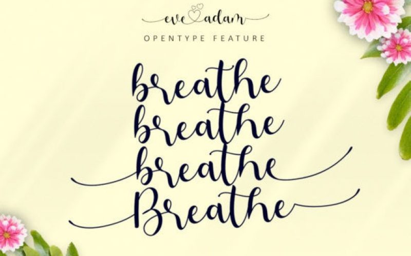 Eve Adam Calligraphy Font Fontlot Com