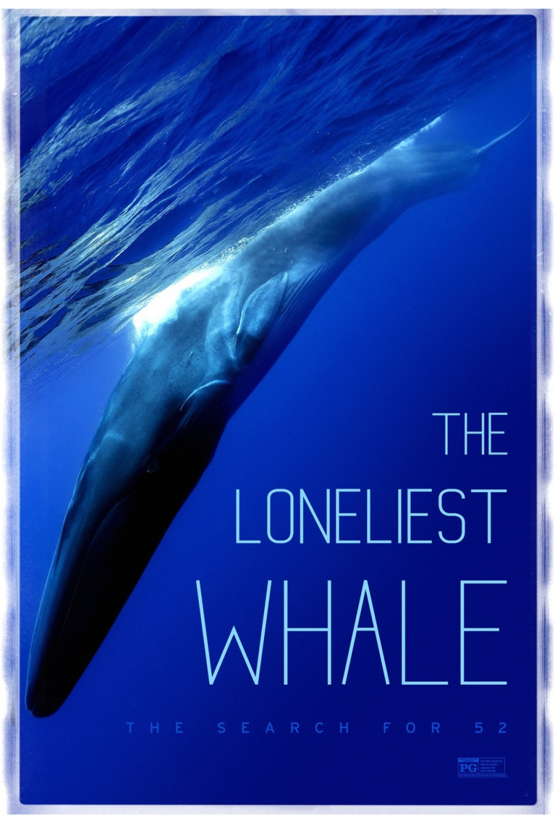 loneliest whale the search for f