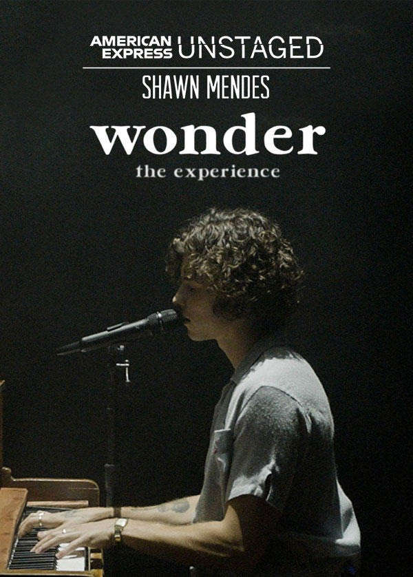 Wonder Album Font 1 1 19