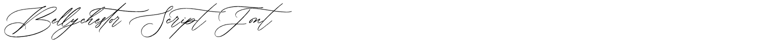 Bellychestor Script Font