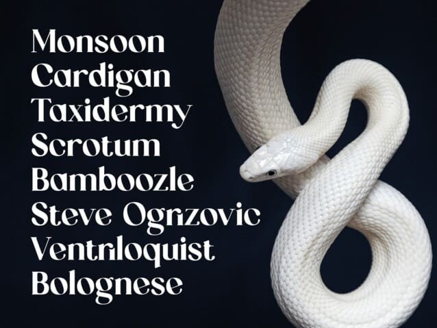 the quaint mongoose font 2