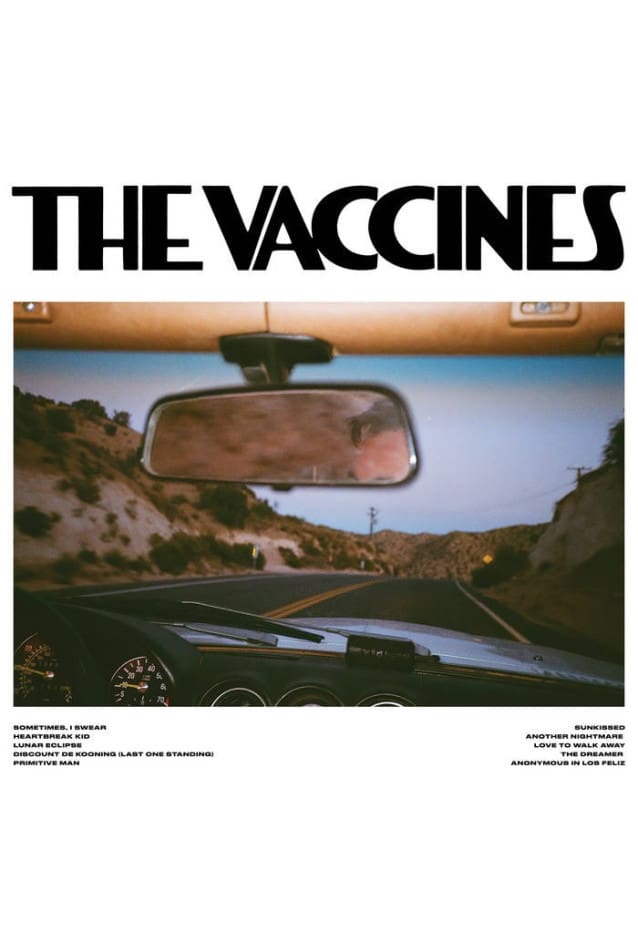 Pick-Up Full of Pink Carnations