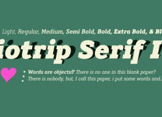 Biotrip Slab Serif Font preview image 2