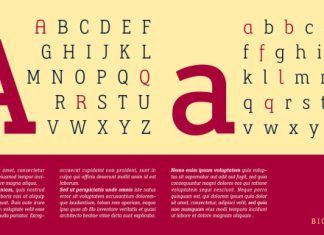 Biotrip Slab Serif Font preview image 3