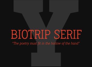 Biotrip Slab Serif Font preview image 1