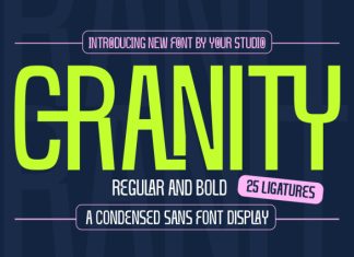 Cranity – Condensed Sans Serif Display Font preview image 1
