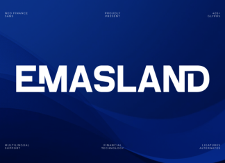 Emasland – Neo Finance Sans Font preview image 1