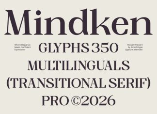 Mindken Font preview image 1