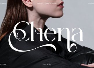 Chena Font preview image 1