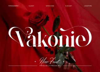 Vakonie Font preview image 1