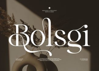 Bolsgi Font preview image 1