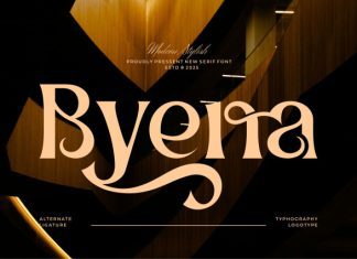 Byena Font preview image 1