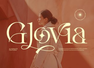 Glovia Font preview image 1